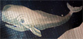 “Wal: Moby Dick” <br>6,5m an einer Zimmerdecke